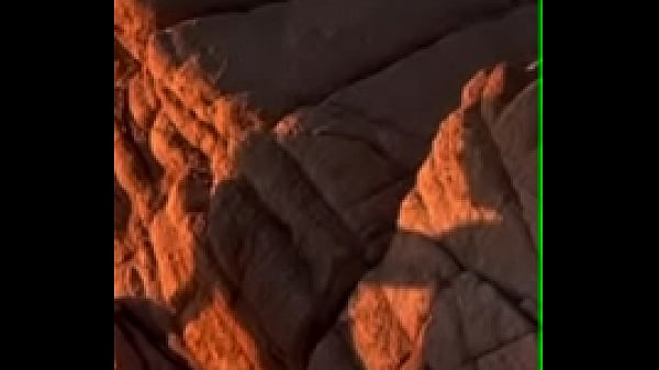 Shadows